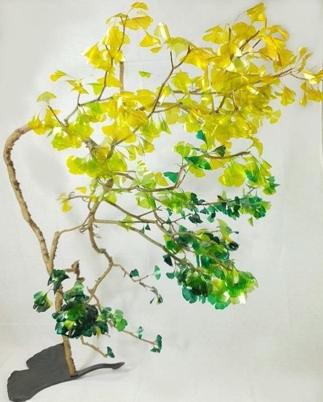 Je suis un et pourtant je suis deux