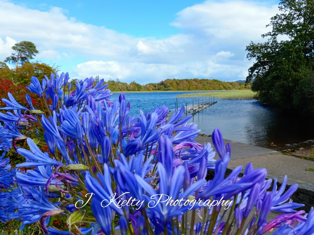 Shades of Blue at Lough Gill, County Sligo. 
