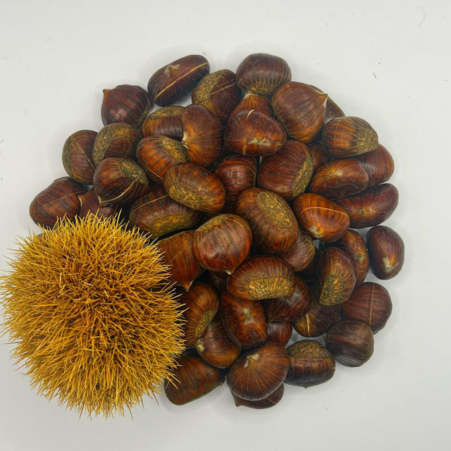 1 Kg. 1A-Premium Marroni (roh und geschnitten)