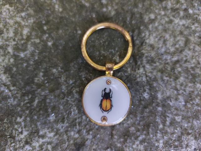 Porte clé scarabée doré