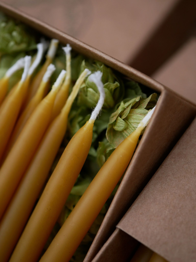 Bougies trempées RITUEL