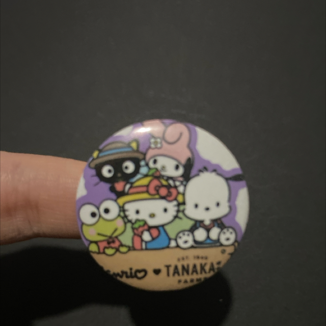 Badge #24