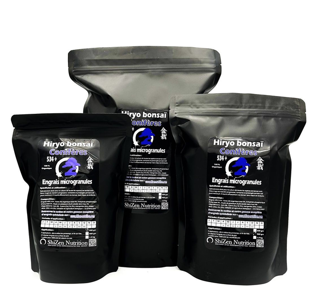 Hiryo bonsaï Conifères