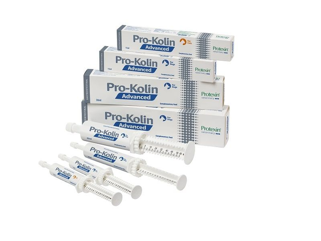 Protexin Pro-Kolin Advanced Dog 30ml