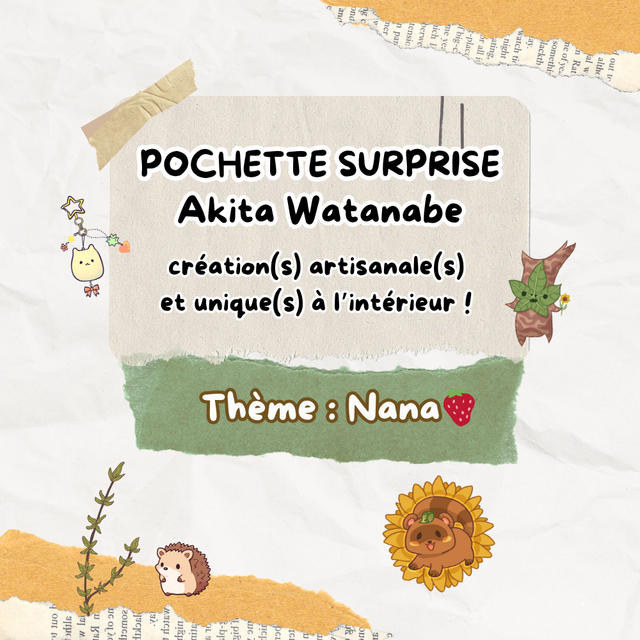 Pochette surprise Nana🍓​