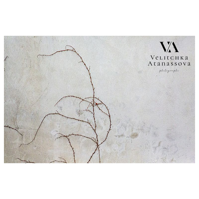 "La danse des branches "-photographie numerotée