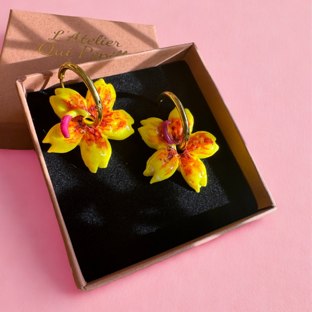 Fleurs Canna jaunes orangées