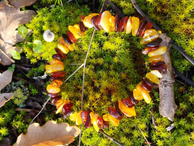 Bracelet Ambre