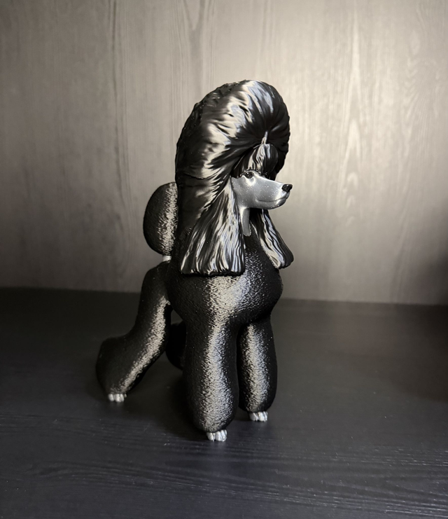 Poodle Black - Puppy Clip