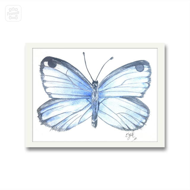 Lámina impresa mariposa azul