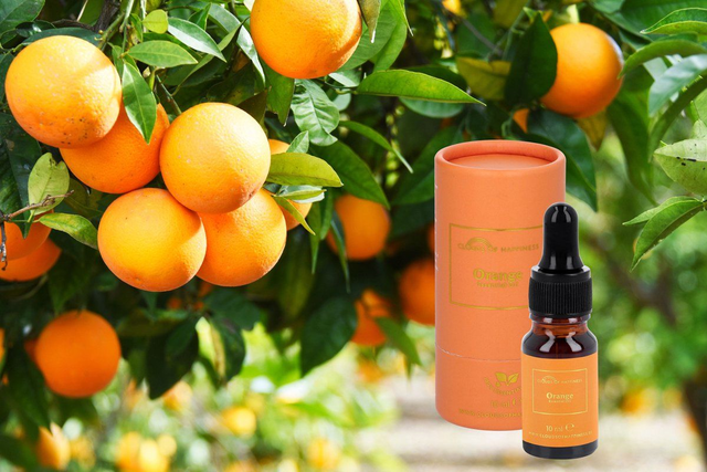 Essentiële olie "SINAASAPPEL"