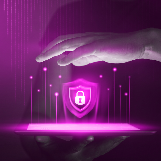 NEMESIS PenTest