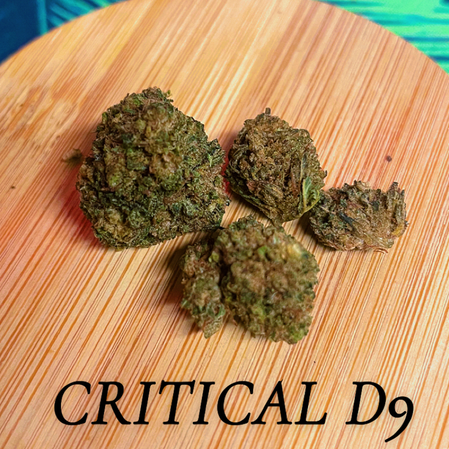 Critical (Delta 9) 