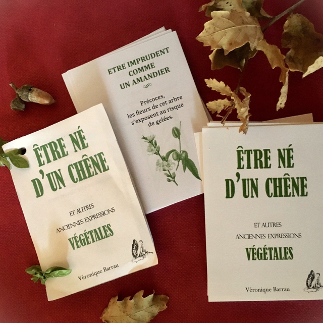Être né d’un chêne