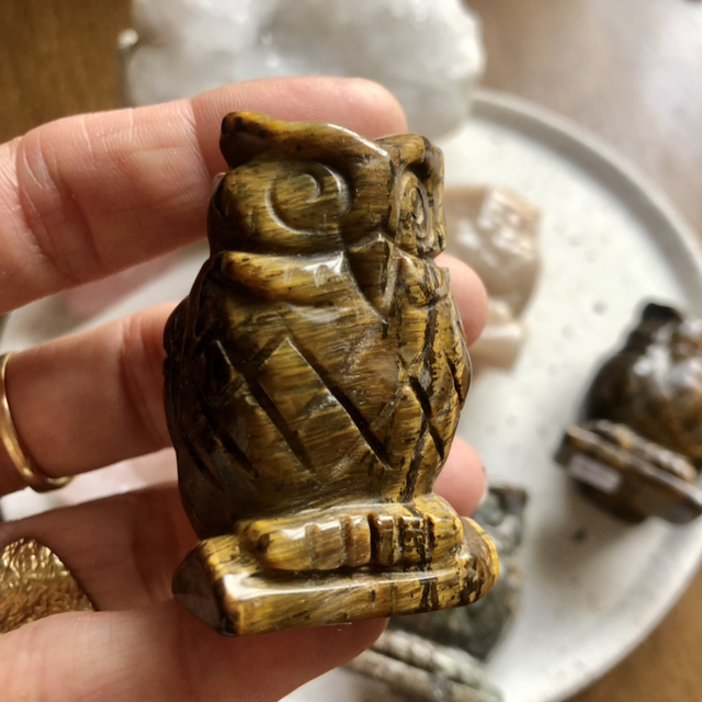 Chouette Oeil du Tigre 