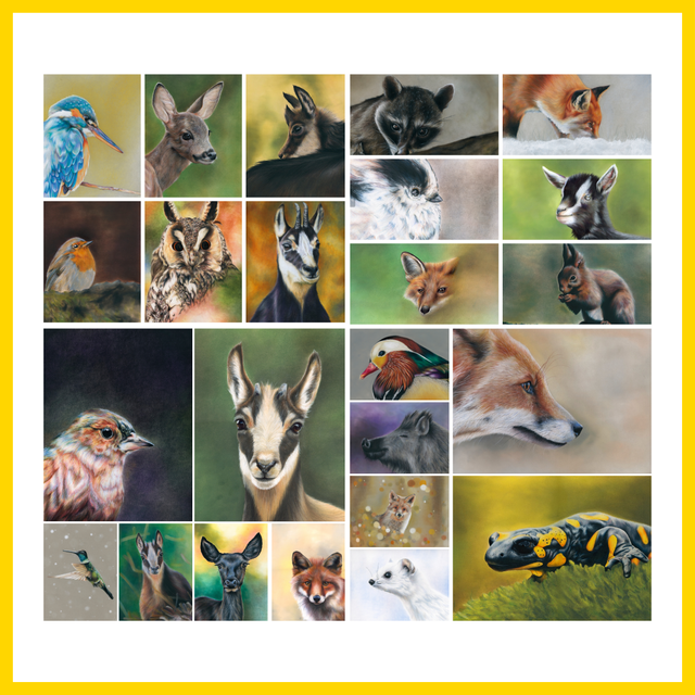 Pack de stickers complet - 24 pièces