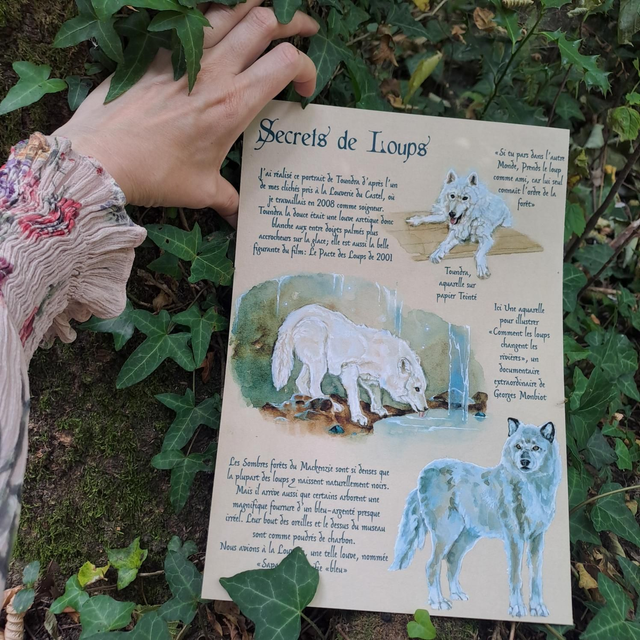 Affiche ✨️Secrets de Loups✨️