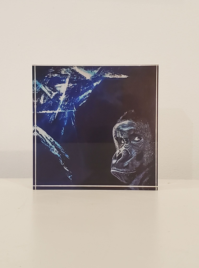 Impression sur verre acrylique - Lueur