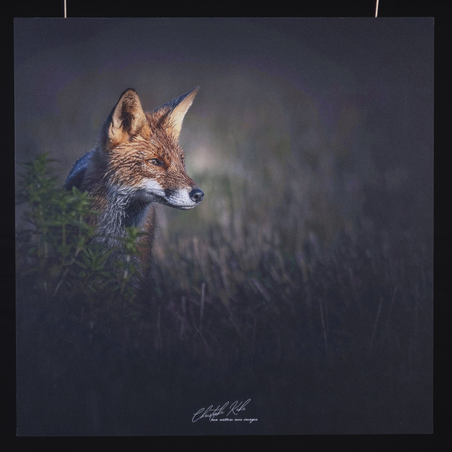 Dibond 40/40+Cadre+Envoi