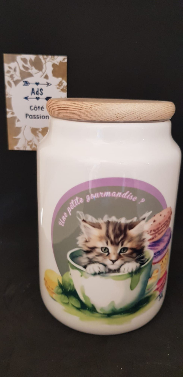 Bocal - Chaton