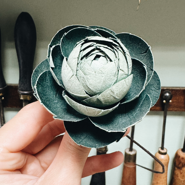 RENONCULE VERT FONCÉ / VERT CLAIR