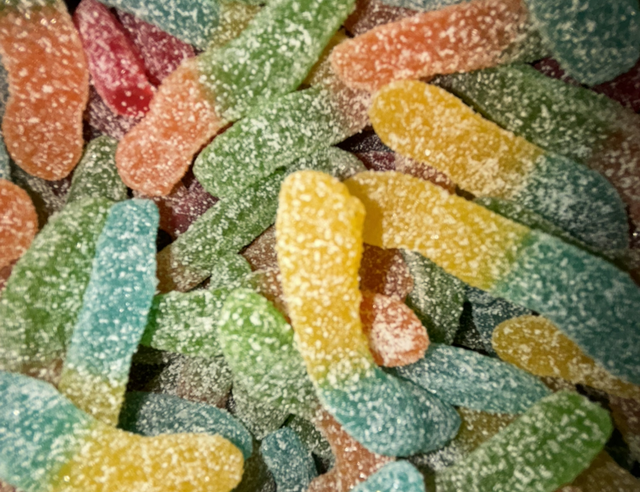 VERS DE TERRE MEGA PIK 100g 