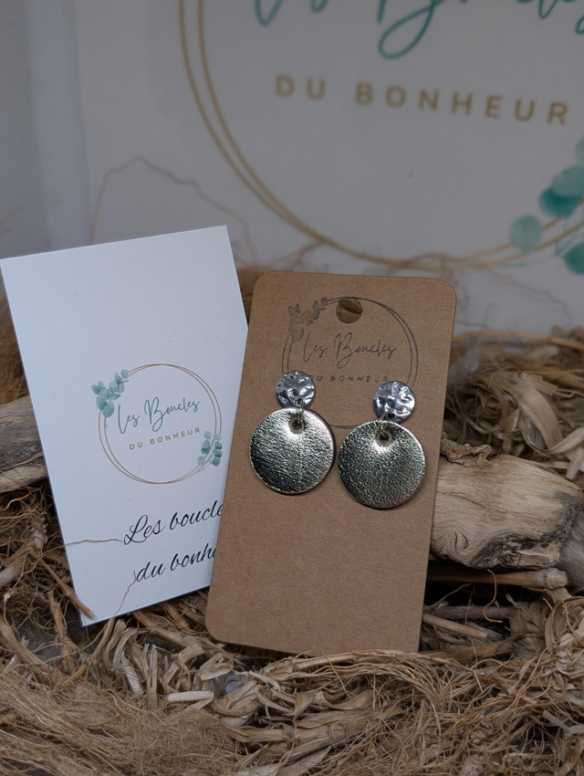 Boucles d'oreilles Anti Gaspi argenté ag203