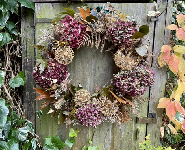 allium hydrangea and fern dried wreath 