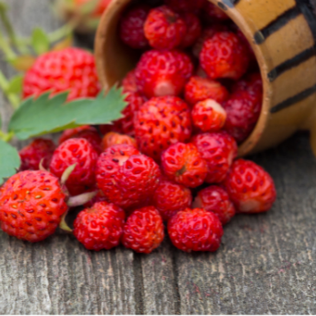 FRAISE DES BOIS GALET FONDANT