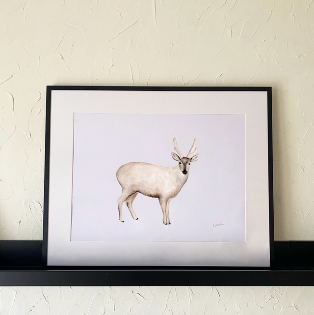 Huemul