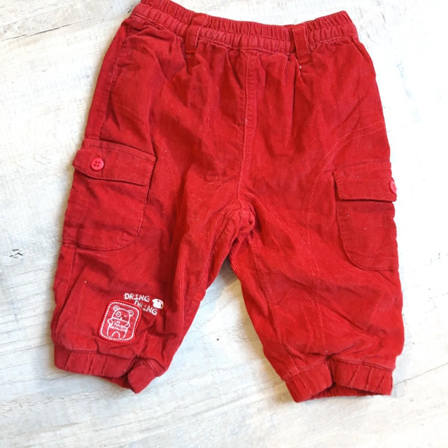 Pantalon doublé velours 