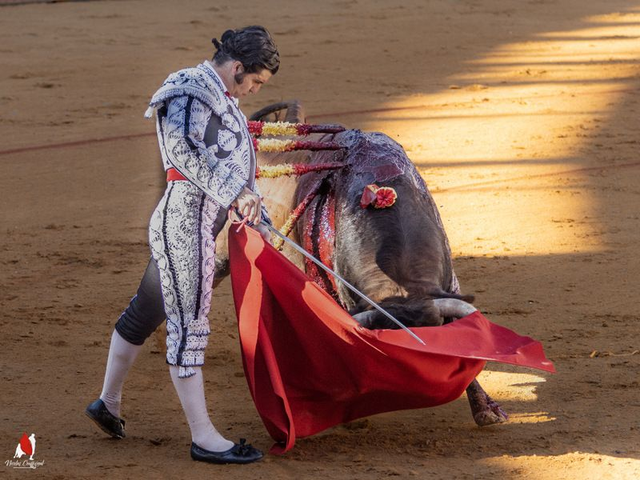 Morante de la Puebla IV 