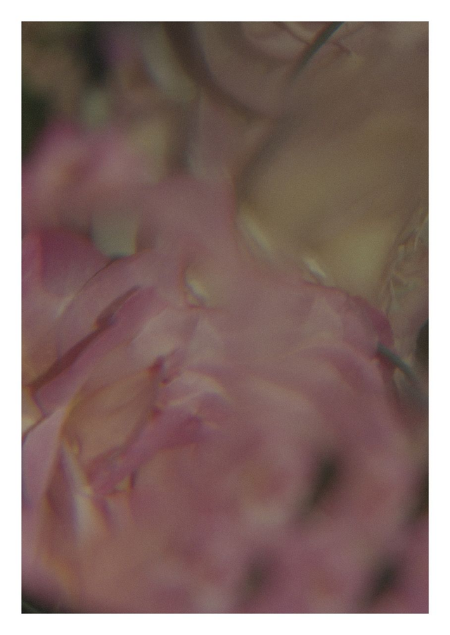 Carte Postale "Strasbourg Art Photography 2022 - Fleurs du temps 2022 - Jeanne Peineau" Unitaire Exposition