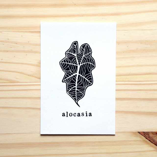 Linogravure A6 feuille d'Alocasia Polly 