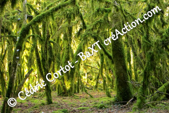 Impression sur alu dibond - Paysages et divers (ref 5078)