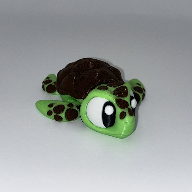 Turtle