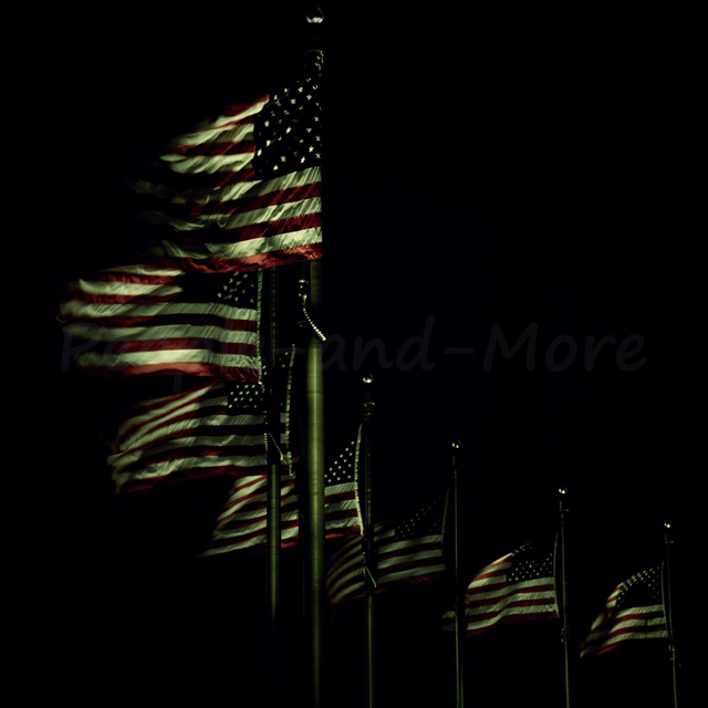 2025-04 Quo vadis, USA?