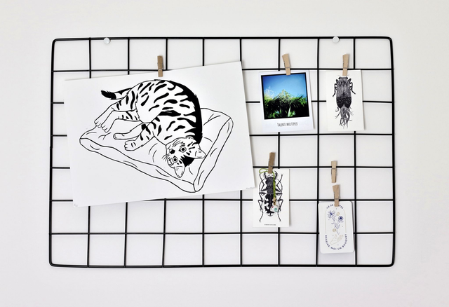 Linogravure A4 chat tigré