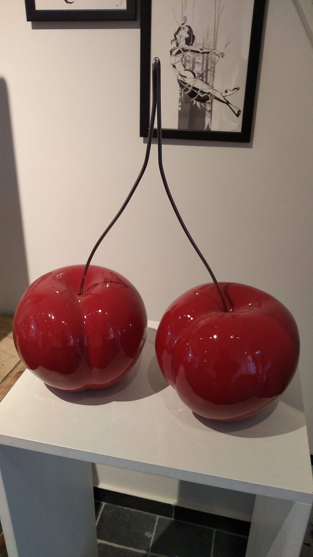 Kersenpaar / Cherry pair