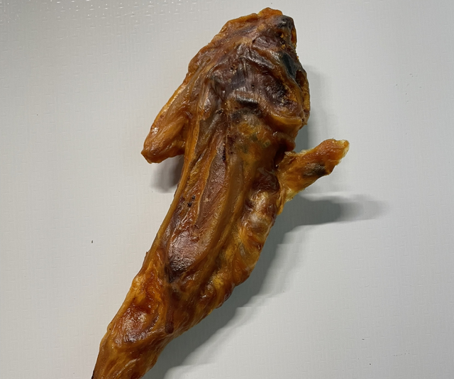 Dried Turkey wing