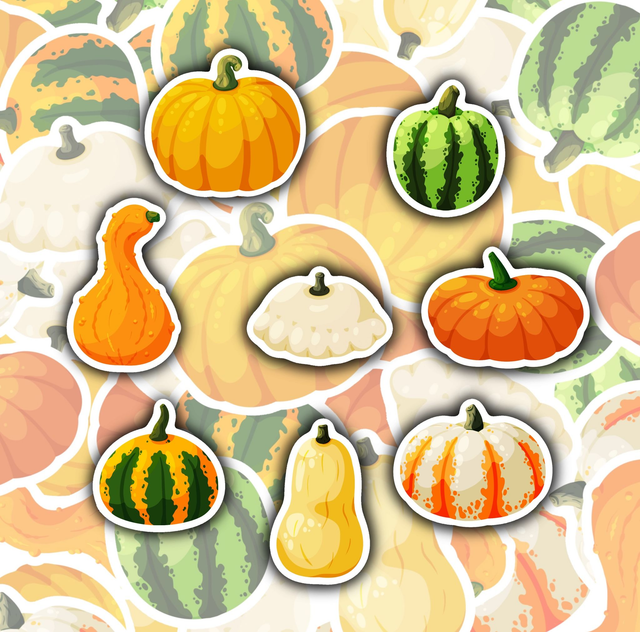 Stickers Courges
