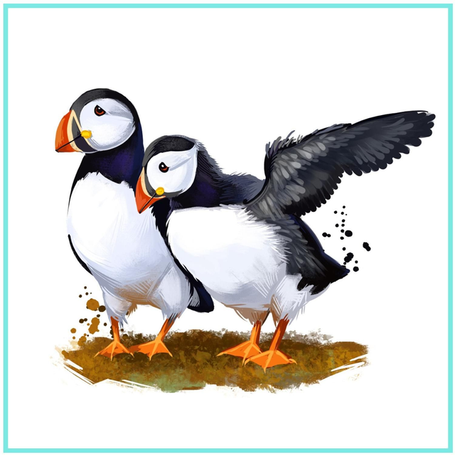 101 CARD PUFFINS
