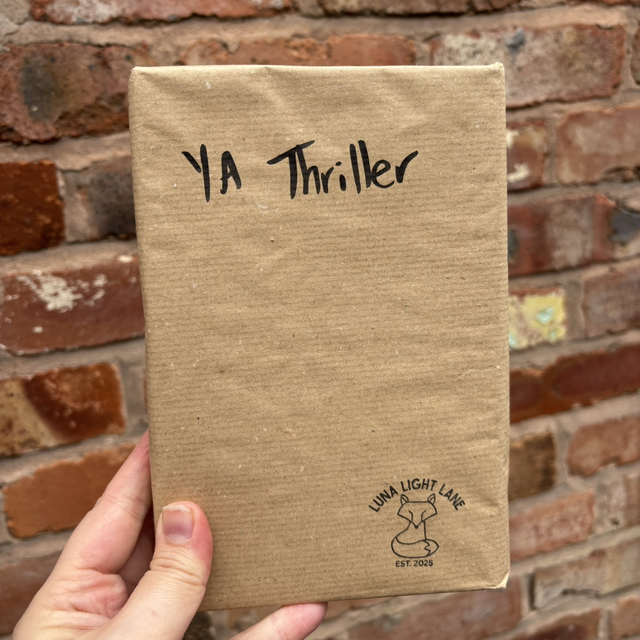 Blind Date With A Book | Mystery Book Bundle