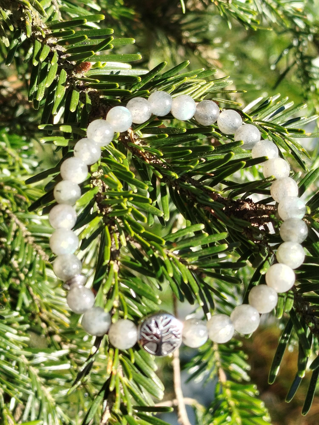 Bracelet Labradorite 