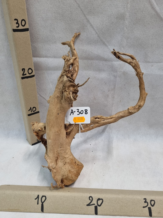 Racine araignée A-308