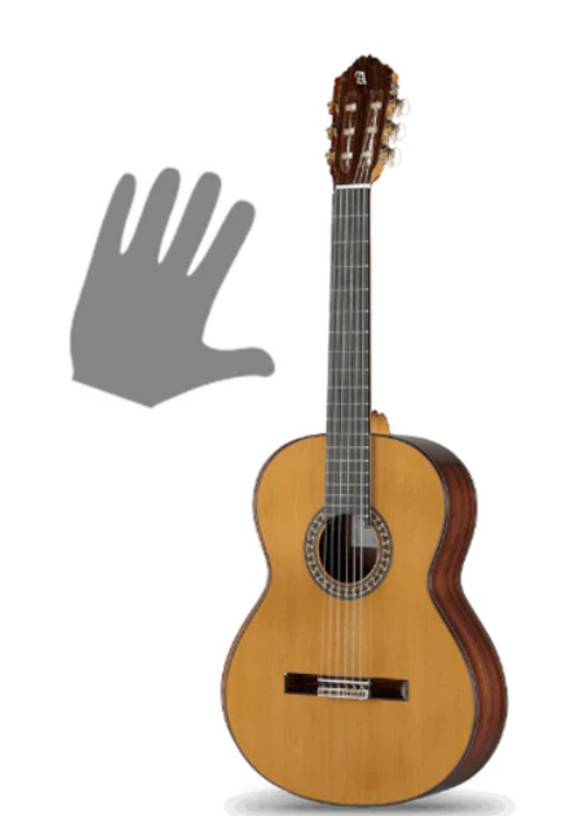 Alhambra 5 P Special Linkshänder