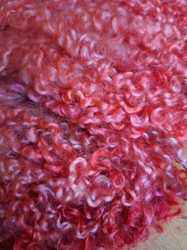 Boucles26003 teeswater 38g