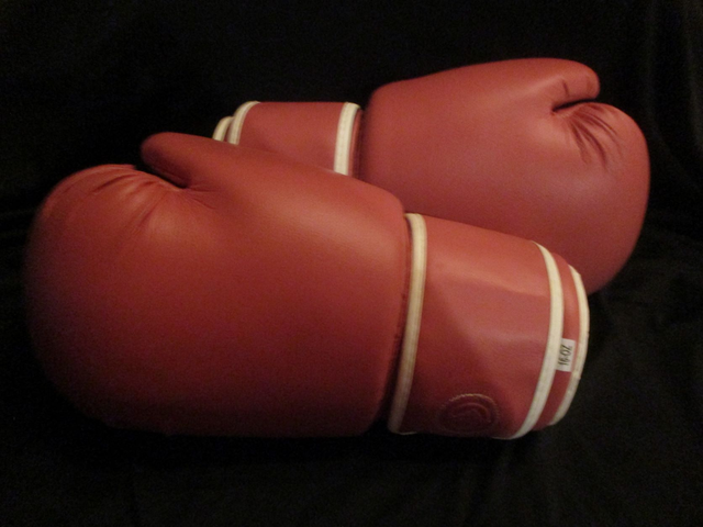 Pink Boxing Glove Pair PRE-ORDER Signed By 1 Boxer 