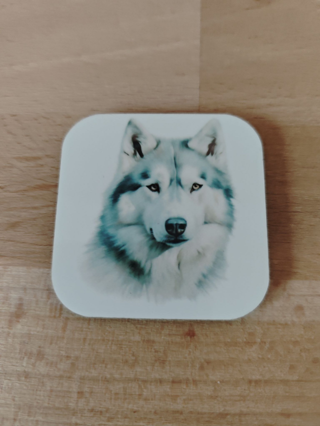 Magnet Alaskan Malamute