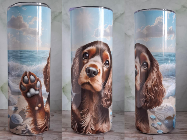 Gourde Canette plage cocker chocolat